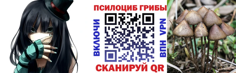Галлюциногенные грибы ЛСД  Юрьев-Польский 