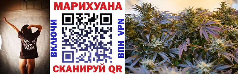 Бошки марихуана SATIVA & INDICA  магазин  наркотиков  Юрьев-Польский 